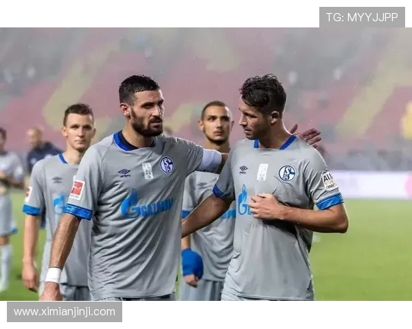 足球世界的崛起与变革探索从青训体系到全球化发展路径的深度解析